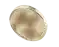 Slurvenix AI data analysis